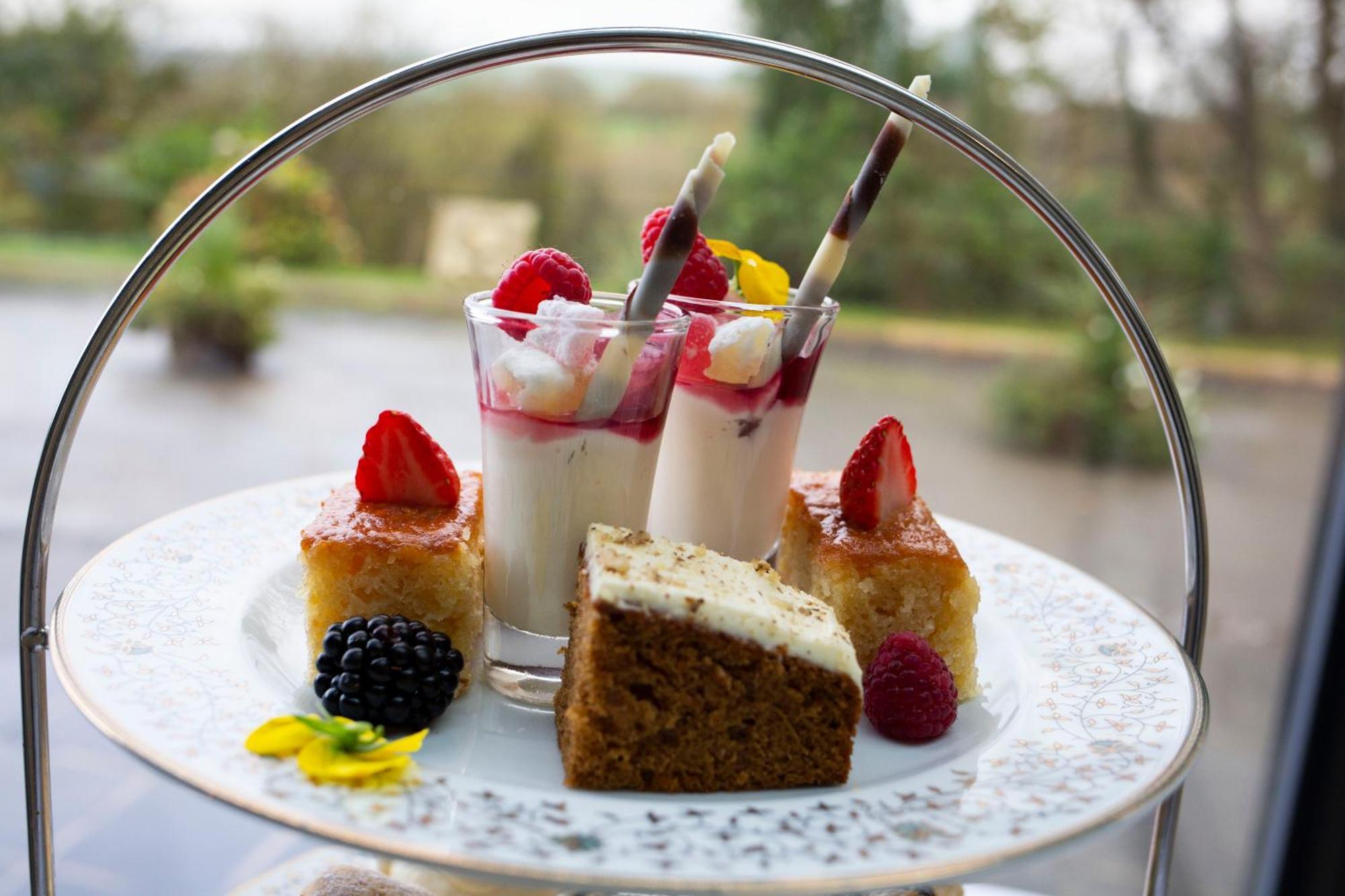 The Penrallt Country House Hotel Aberporth Exterior foto